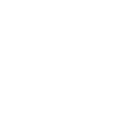 Phone Icon 1